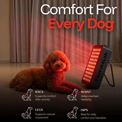 ThermoLab Aura™ Pro 300W Infrared LED Light Panel
